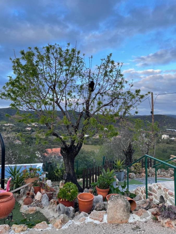 Monte Carrascal Guesthouse Salir Exterior foto